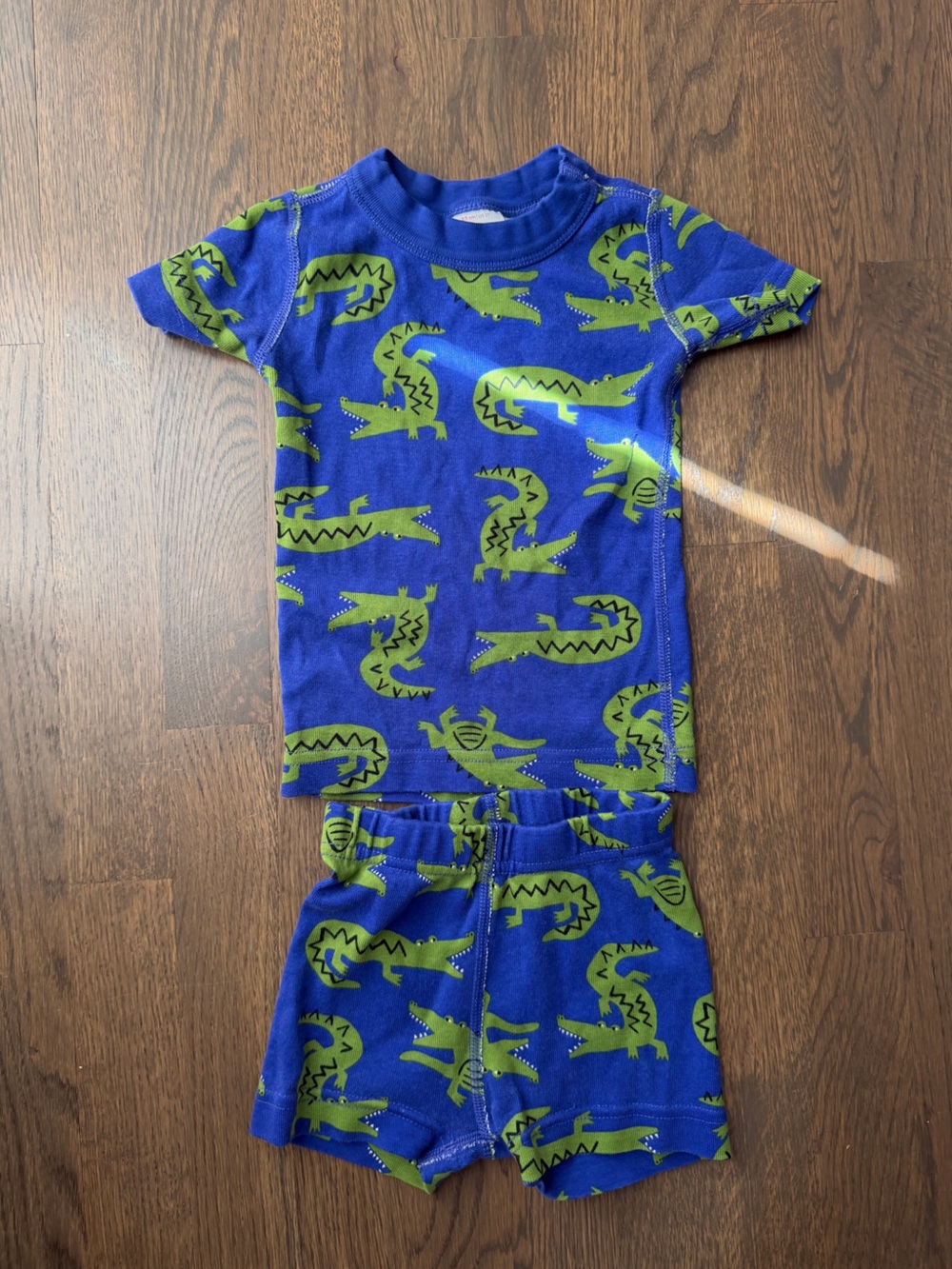 Hanna Andersson Blue Pajama Set with Green Alligator Print